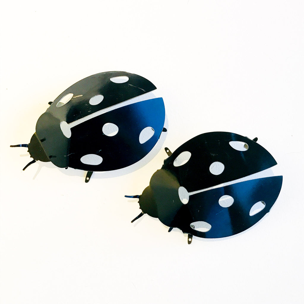 Lady Bug (Made from NZ Honey drums!)
